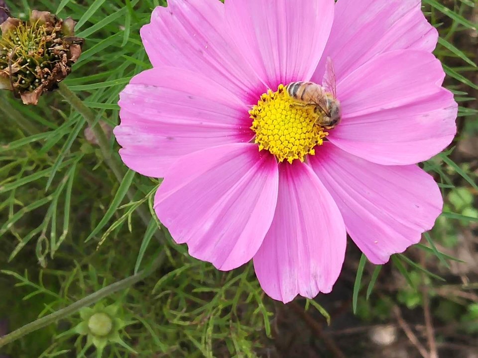 3URYj_uk8DPQYlBQrTQ39QFrvXlinczKWaDGS712iHh_NVaDiRQnD0WpQHggX_j0