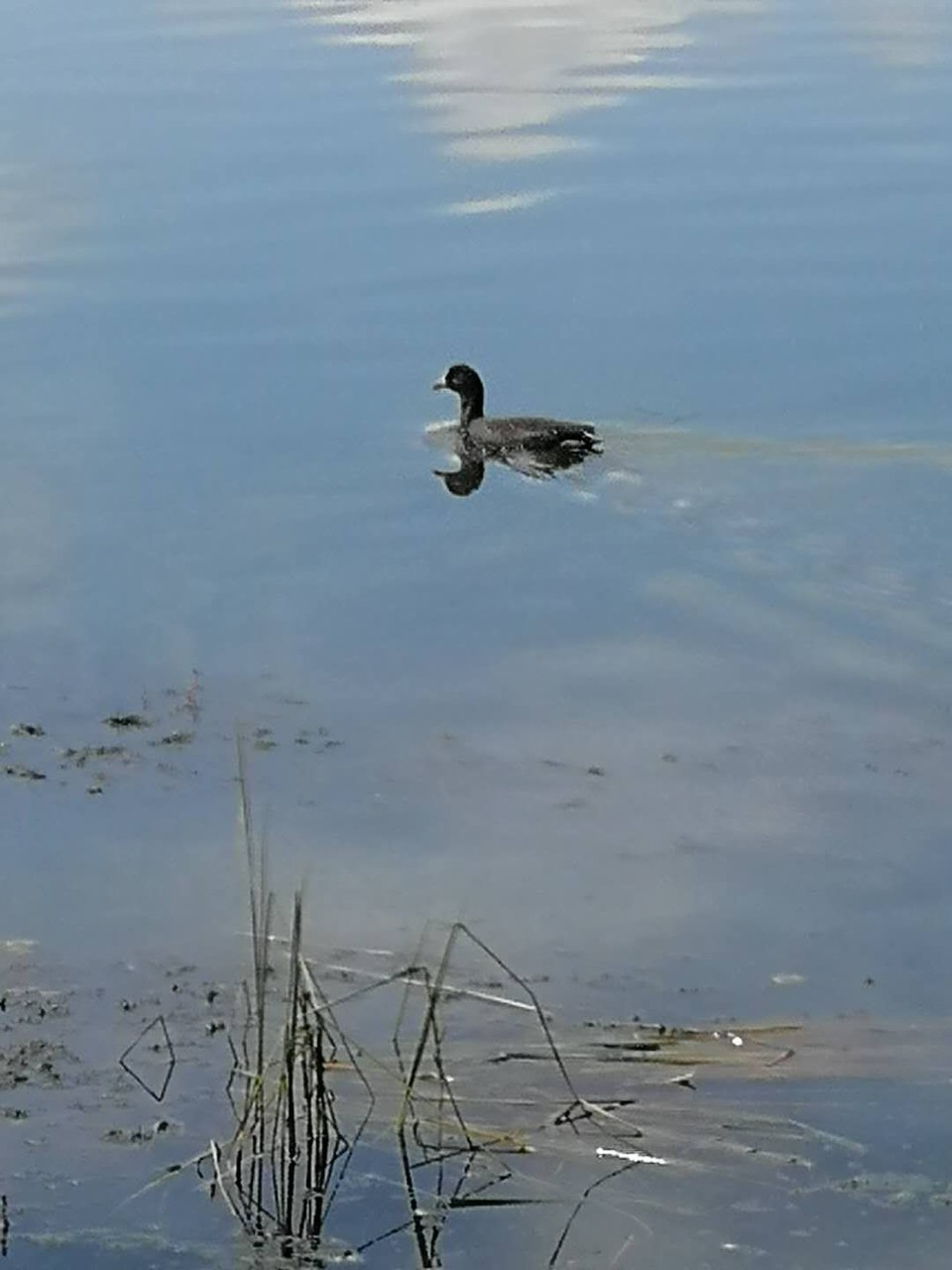 v_9xdEe0djelTDssITuugmw_CxisoOd1zBIU-zBrClhNuPD8qQncsL2T9A0XsyNd