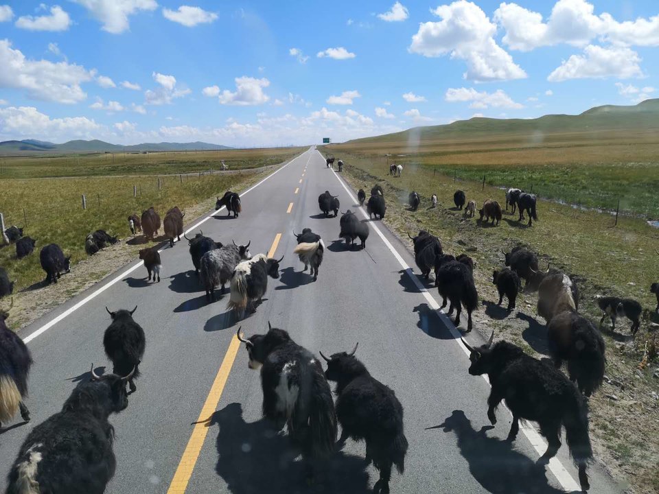 S3sFZaByPT26Soywpn57cyikWqA9ycSIxRQl9LXitVcCDnFM6yj48YjmVrmuBuYX