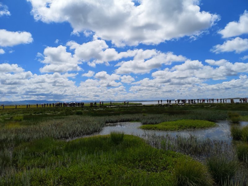 UIBkWcxjdeeO1_PS73FMukfMVBYiXOWsxXM6SfyffTyICThhK7VJfDwdF8He7ErU