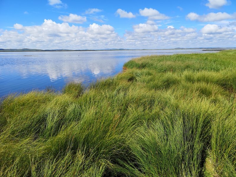 qcAUC-H-3jJsIowKtExHm--e9a0Ck3aUytxswWnWpcigAfL5uhbespEFmBbKXuIh