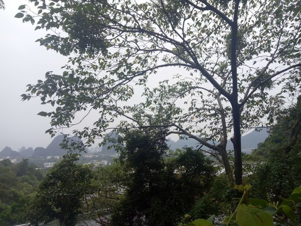 h_SV1At6v_iWFr4l7u5oHZUpMMV2PrvyFAhvFlrQqiwxTIJmvKOz8LoOS1aBQ0Xu