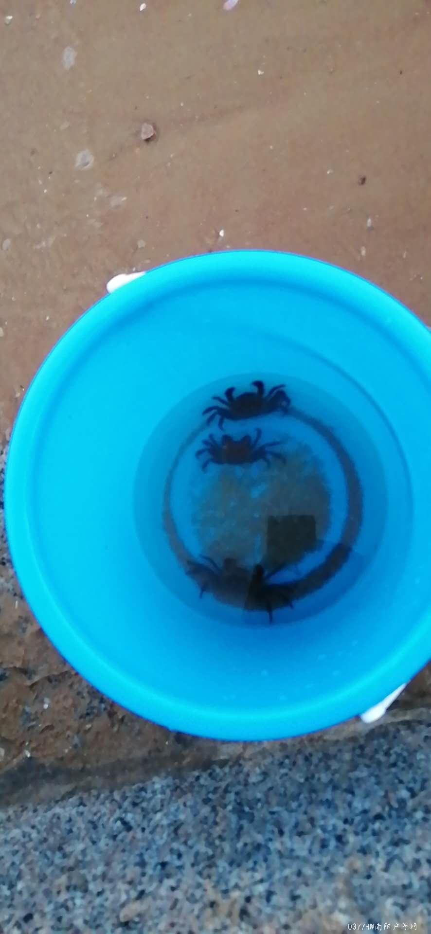 7E7imXSrcYEkfooO2R2m0UolAeFdKqG8JscjueUCklnGdeseKAiw-g29Rgncpb5S