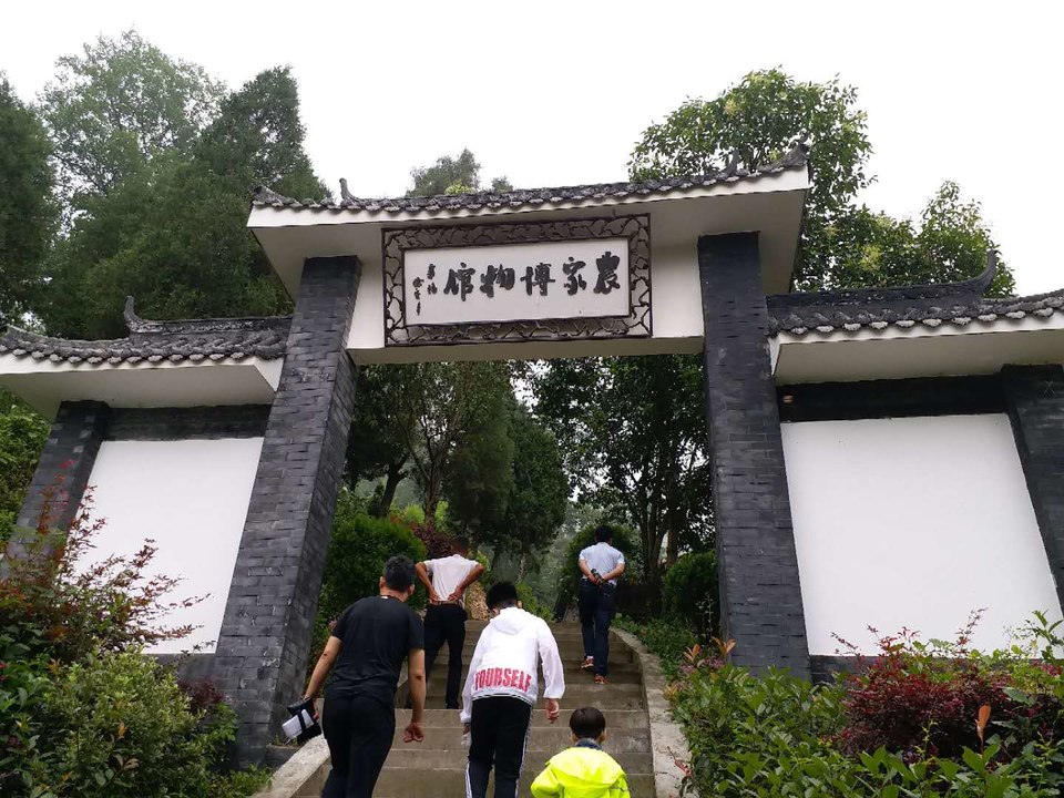 -yTvWsRjhFBiGbn8rUh8am5L1KBOc9f1hPqg-tmtfb-71ufqTLE3NLd9t2_4pWLv