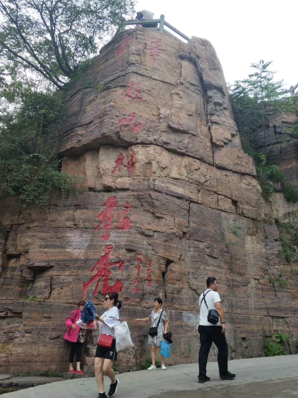 31Qb3lSIIy3xV1RLadkll7GrHuzzioZuuu8Ka2a9qkfHkCn6gQXuHwGcsAqtDH5B