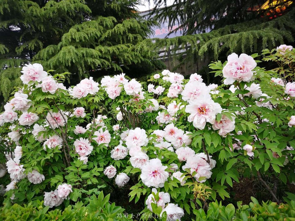 o5Gn54Az62ghku1GHd1aXEoNEoiT1yNEUQPn9xF4PbjdOFm24RVf24rZBJJy6tQz