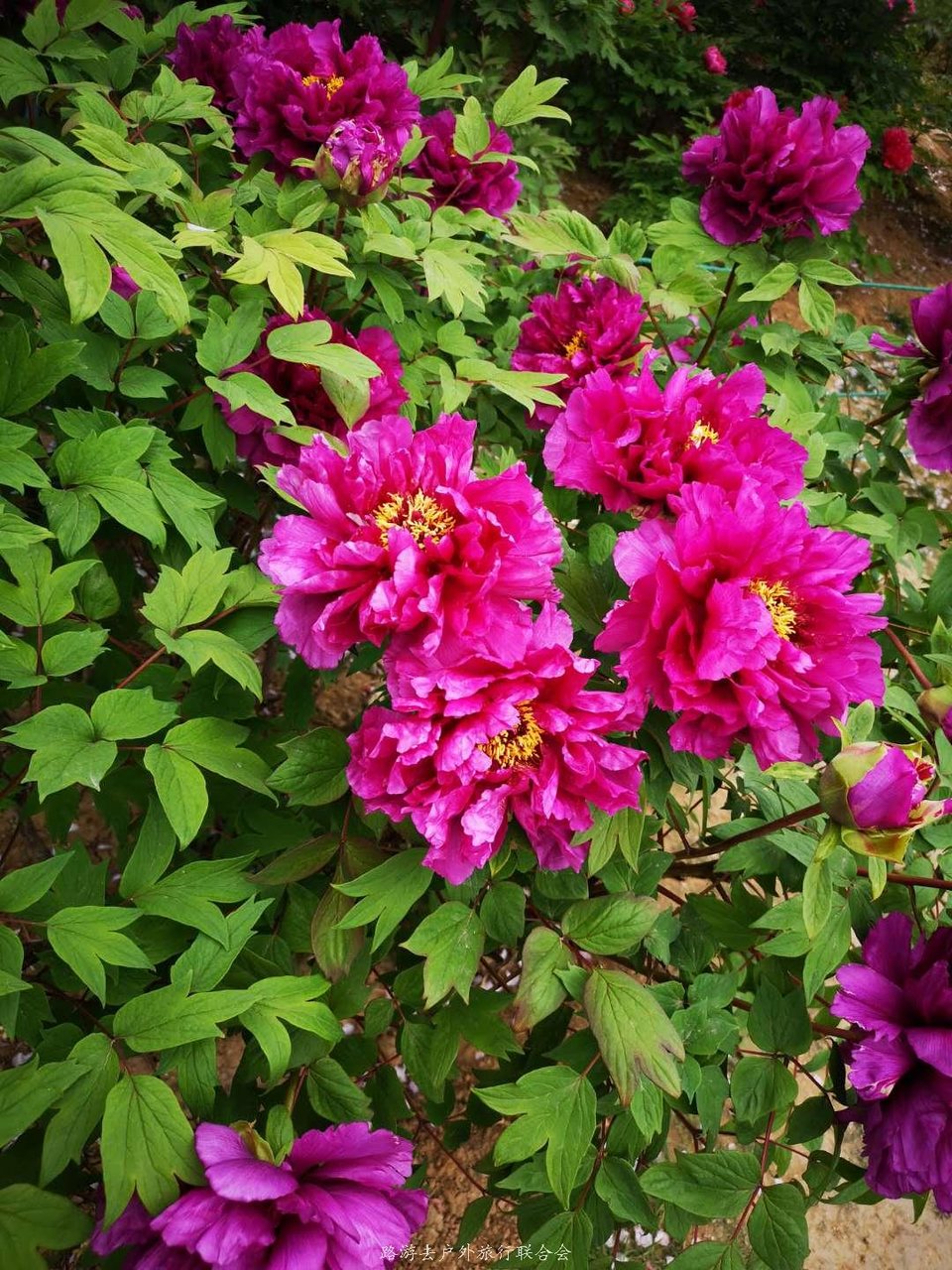 IgmeK4gJ7yHpgjzqPnik5ZBKGqrdivKcZOcIPHlwxzM34lKLNuP2MOuu83m5w1T3