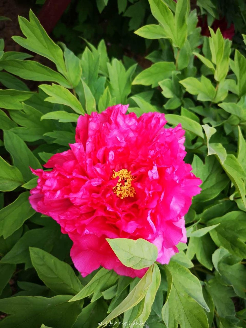 UdnRsXGB-APkXnywXYEo8YQCO3zxIO5jXXugJG8ELfJPpUZq43RjANcZj_7O_Pb0