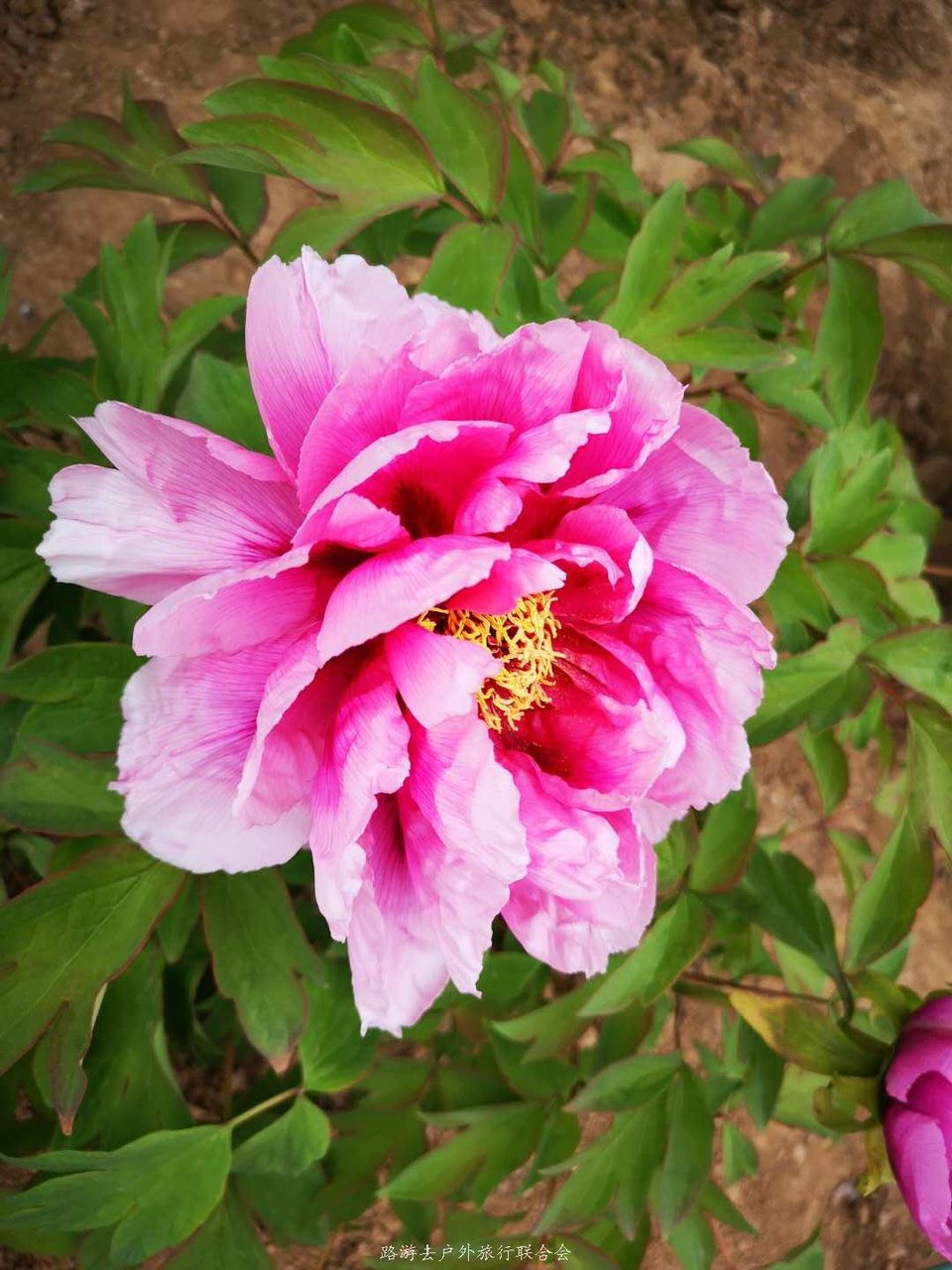 CD5NBQjos4ogiVYPCViIu8_BX_5FhLqhP41KvPpojUkp7dTLmIHVFPpSnEvNUoTd