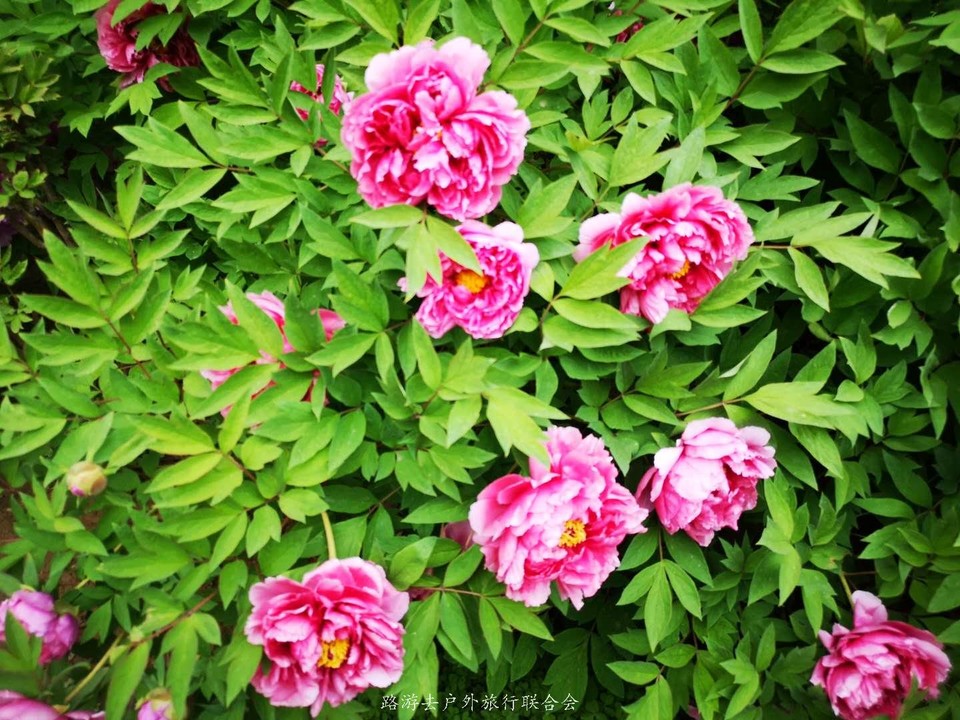 ziZYBmiwWLH0w_RyIyCRAcaSnJq_4XcyylQC4D9eFP4fE43WfQE8s01RcnVx3O0C