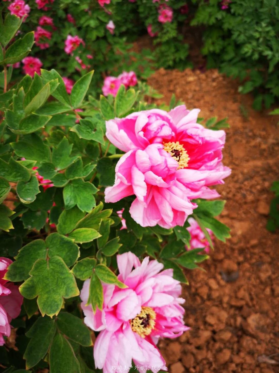 BbiYRFCtGimNEHUTBa9UN0XwaqB2yMpE_rzykHbEMaL1vZSqv_L4NGlLprGHra0L