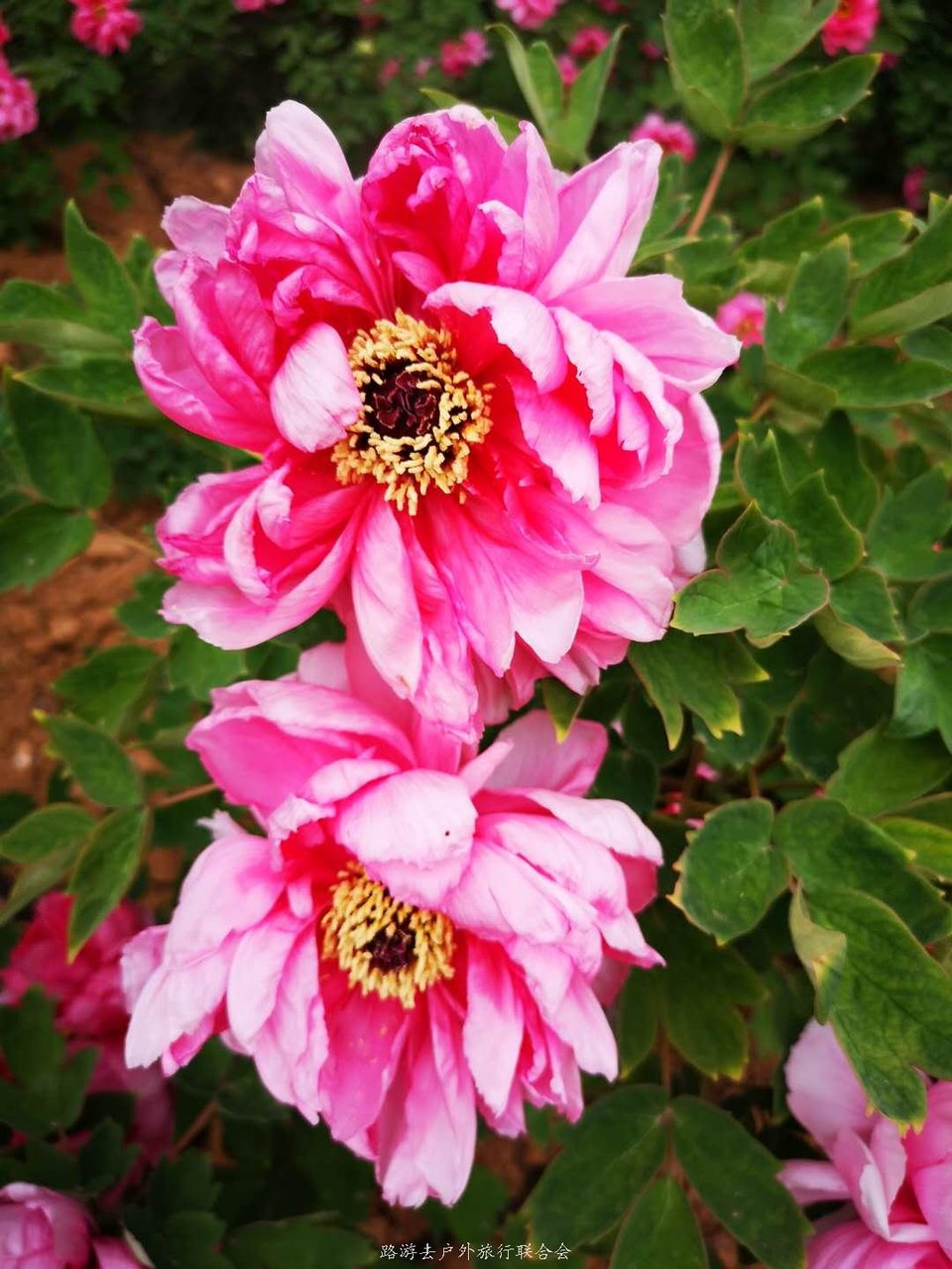 BbiYRFCtGimNEHUTBa9UN8Ry5zNdOCQUFoGw5JuU75yd-ZUoUP75tembio9PM68Z