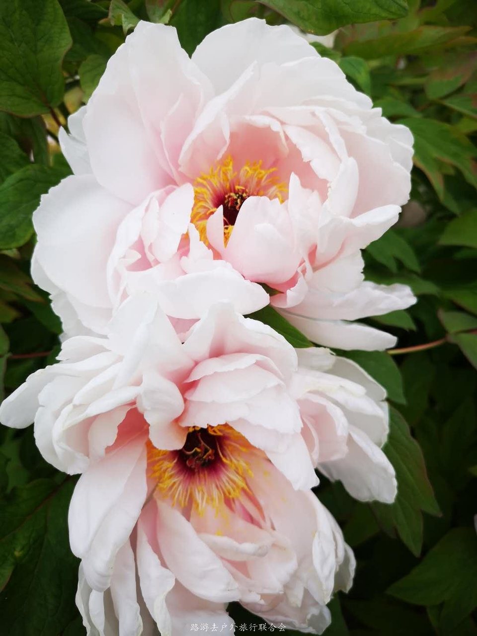 wLQ4vqRx1GcaGcj_OA5zl8iAhH2aQvuudhrvizRnctmuNheWhLTYan4pcza_gv7e