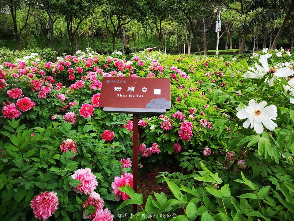 G6TxQVtbU431hbfYFze8Dp07qkpMAKuIC2eQZPqEIC2GqelwLNZhDVE4-8KcAFtY