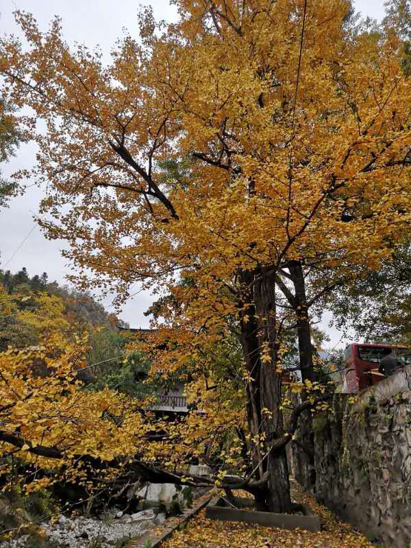 3bNyhb8T0mOLw-EBWQ0lAa2_XKOaYDaQdeyQug3E5aKrP02OnPJO_TIYFVMDeeDc