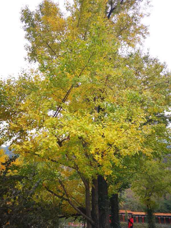 q7HCcmr7LbVdDl3KgKUPmlub7dZ6rgFya50ZkRJMlcklbOnq08KpW5j1ir8ZAHaV