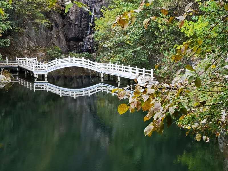 NVrykE1PClLxoJJx6K8u4S771LO4qE1cUA8RxVm2MTgW7VVzyYRk7NBH4QZTDVLb