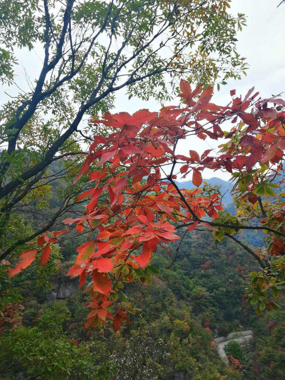 A3ivNkNiR66MdZVVkV7FkEgTMjdK40poJBrYZpmvcDnfMQUTp17ZA573H3EL6kZQ