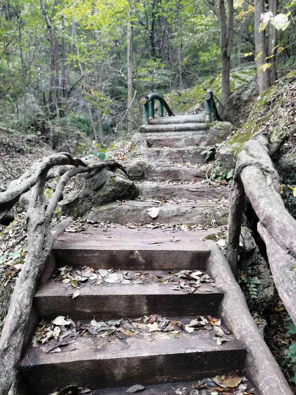 NlWvv2twxP9tjYgN-CnpDs2PxxAstHlm2rT-6QCpw4f5yHKkwO61FRJ3UyPDrhNI