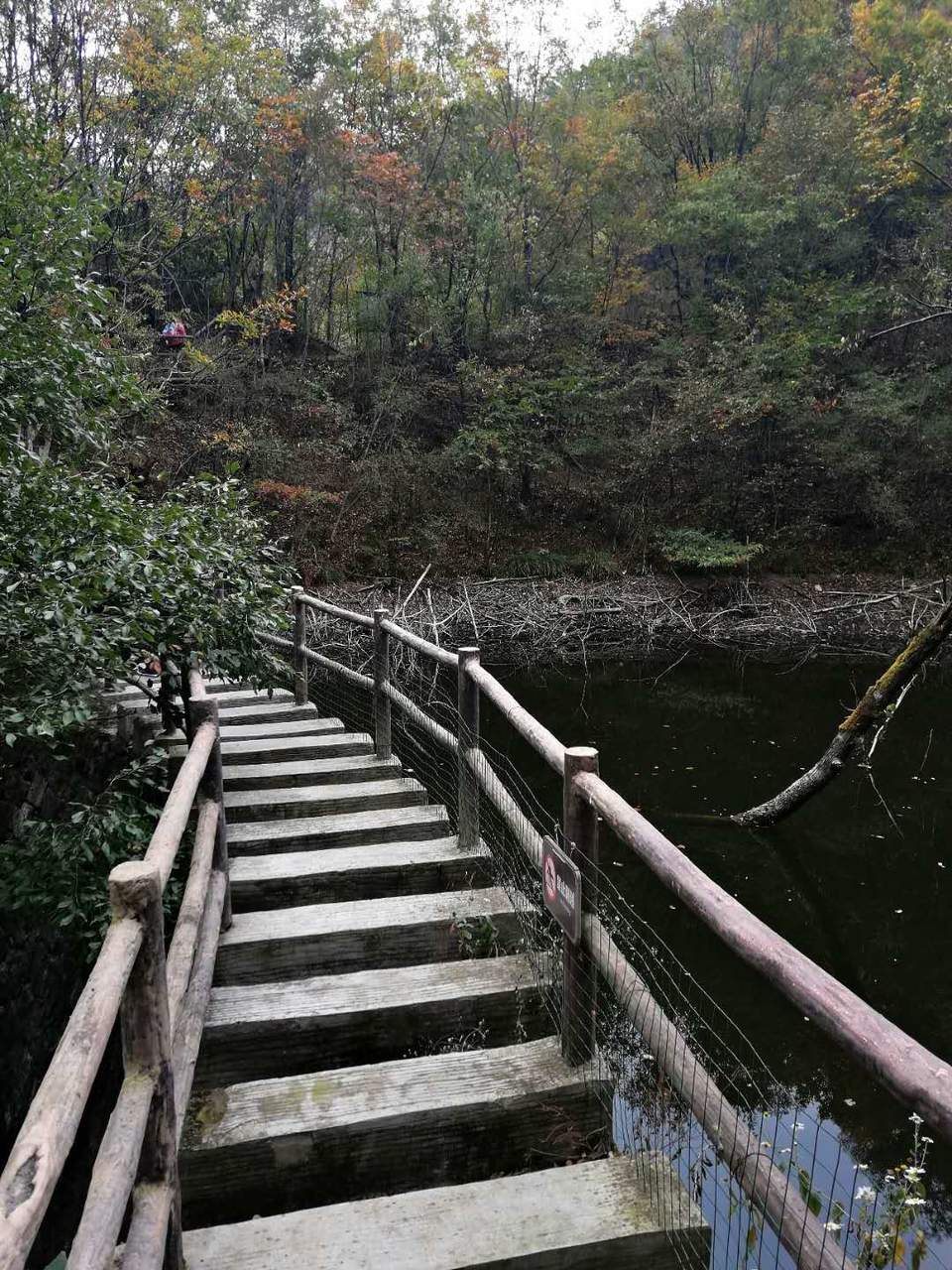 pEOKGV6L3VGVDCAT7CrXSNFBBBdN9T_gdKUG-3lm5znzuPNIMOTnbo7ADeeCA51j