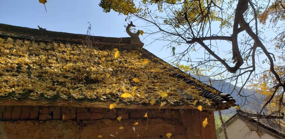 uz6WZE1kidaalO0XUi_hWQXUr54QK6UtioBvdTbDlW7u4mb7oI00lCkmGeAtvhos