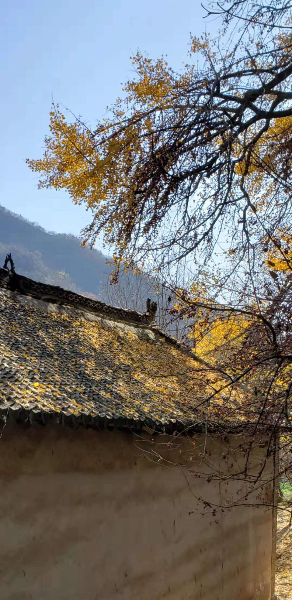 963oRNn2pI29anJJqe1_F227Ge1ZkbWa2dQ7FYpsK49CS5rf9Y8aZdWc-7BTHN7-