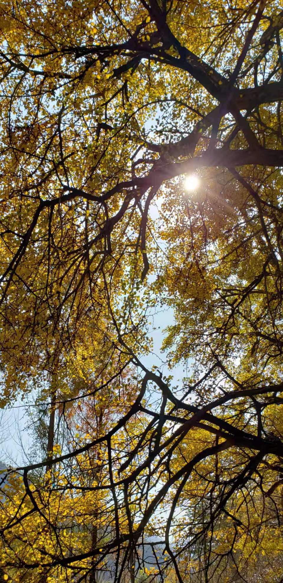 PvEa07WuMb6rLBgojSLiJWgayA32l6SCdJBKAC1kLkrQSgd6Tg6PNerVG5KgYvyO