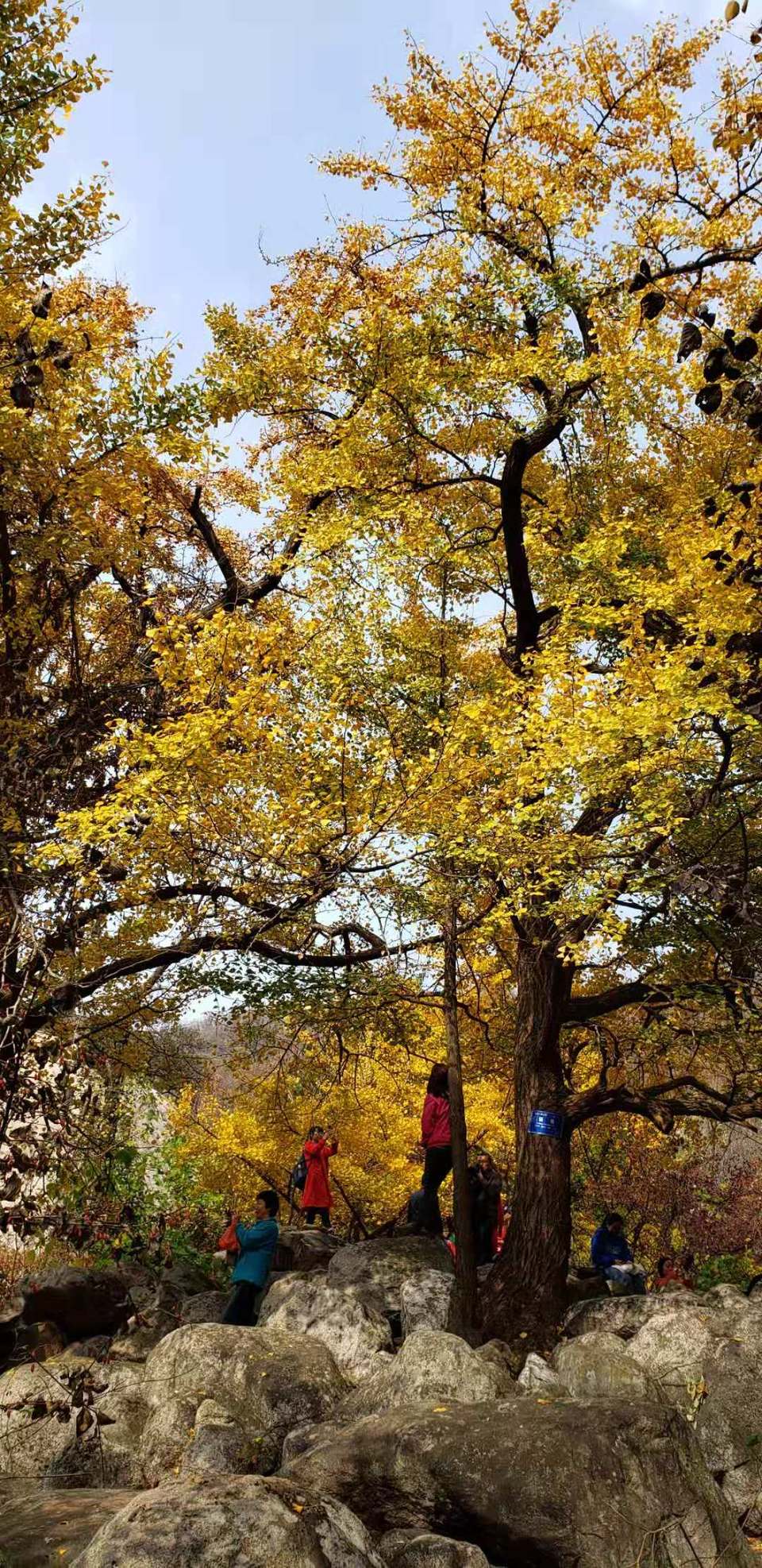 wZoT1081Jxfdp5JLzZk3qeKEDIuMcz943cvRFwafvtxwUY6diiUoM7Jg6XnRkfsl