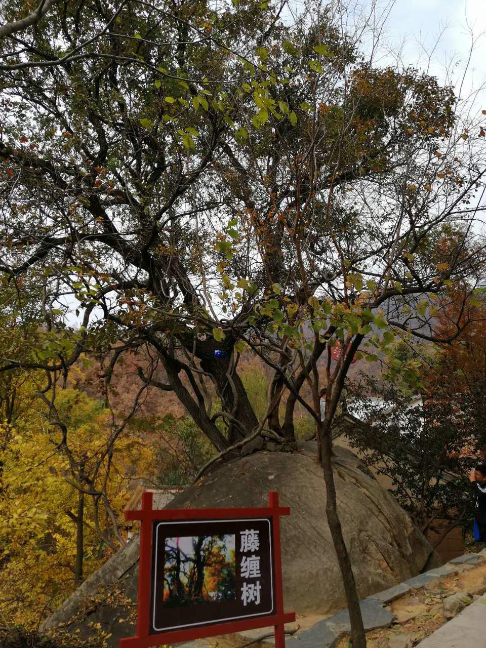 0Joz2cAD-_8HD5A2UuQaYWADs4Xw1jp8ifQeXMMG3gu49IqO-SgLNrhnujnRugbZ