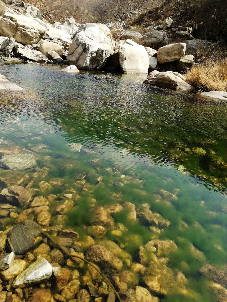 SRfyv9XoiVfsT2y236EeryMk4woHzR_zCRdXzh7I2Q44TQXKZDtTEo86NiEhtJBI