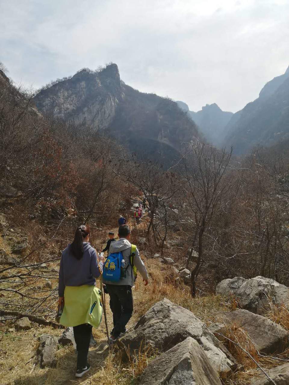 Nf7Mr-SfpGhv20lQXT0zB7FWHK9UqFgpa765VFHv1RKaah2_wb7RxVHtUexlVGmd