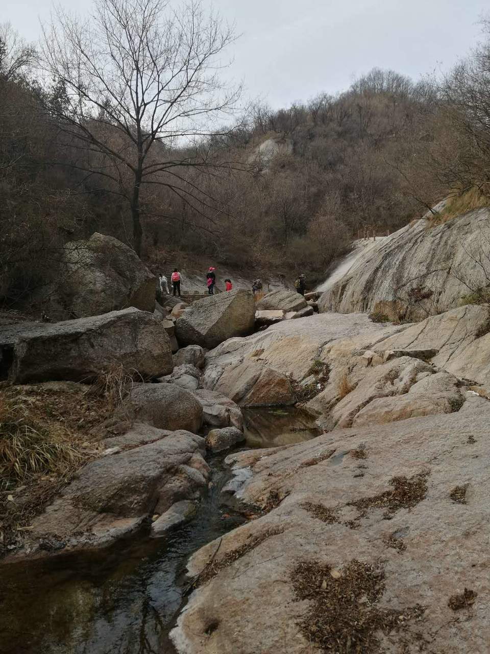 yqVqfMmURLfRD4wGAkFp_P2ucsVK-dlSWT1ykZnuY9jTK5VEdm-2DqrWtja5-kfL