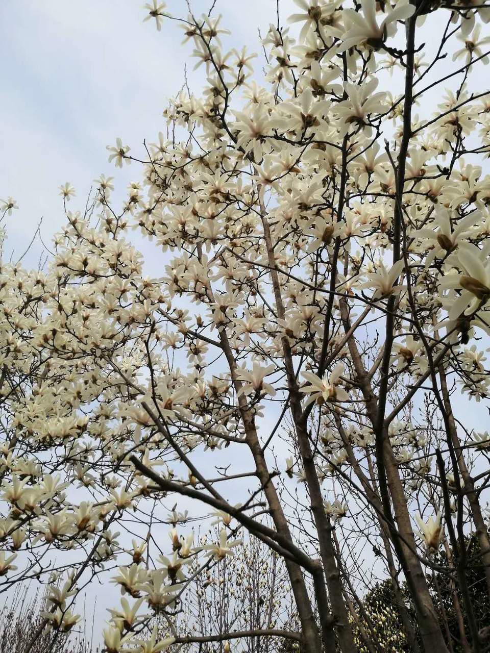 -VbJbXkC5yDSGrln0RYYTUoKIRAILD3qZfFV2ODRAaM9y42J2AuCU5ptLHTf8BT6