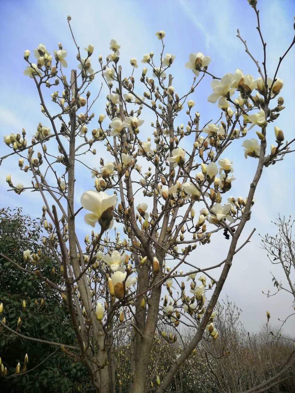 6KqPOrcgB8KG3ZvKmGQRURfYMRVyLy_bOGL02DTlT9eGnJX3MkGvU9kcGddd2bk4