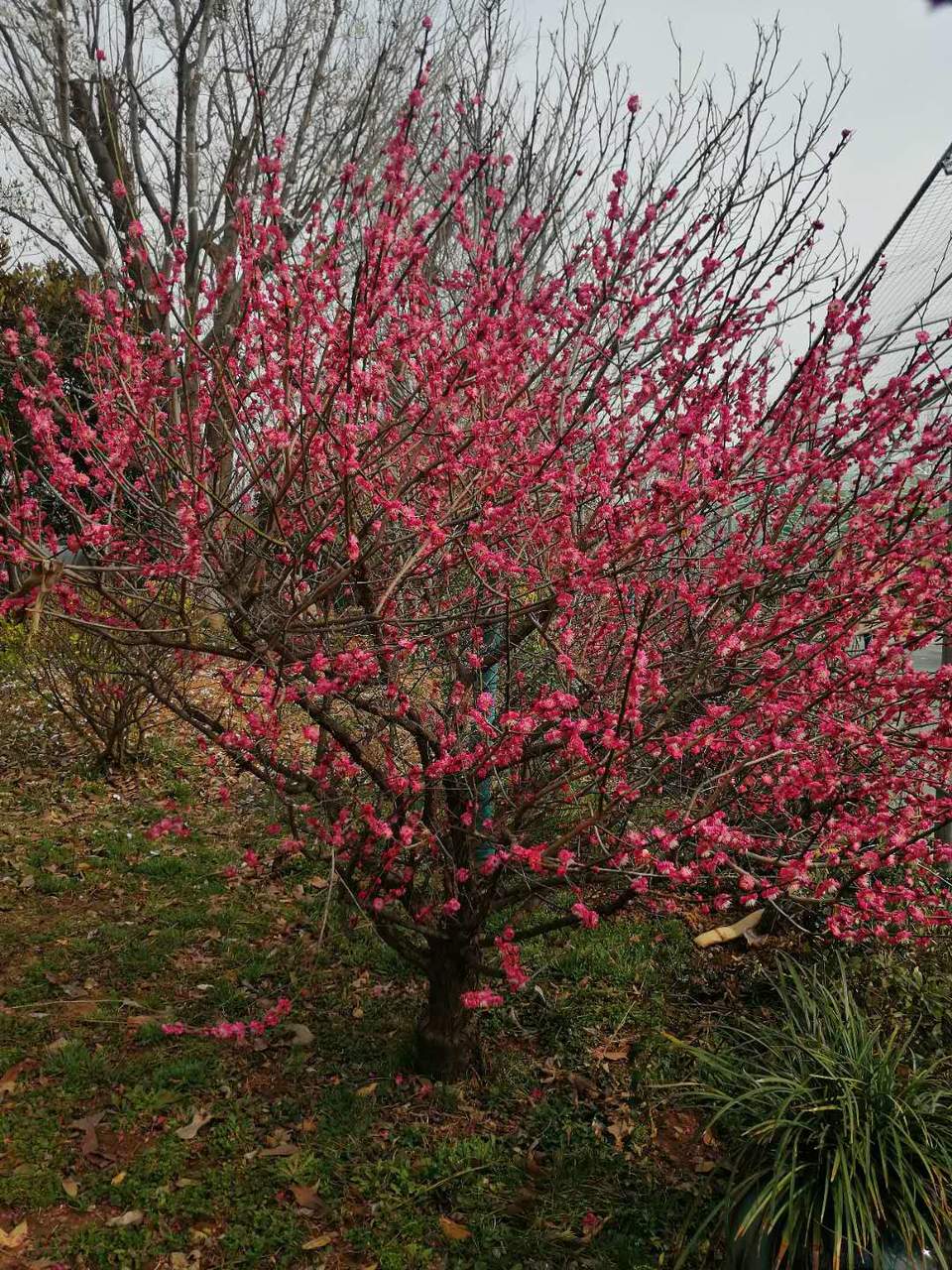 b833jRaThVIPNvkVeyfi1VMz4s3c-cNkPzo3_hFQj5nf48MMqNqHhuL_IX7_BwtJ