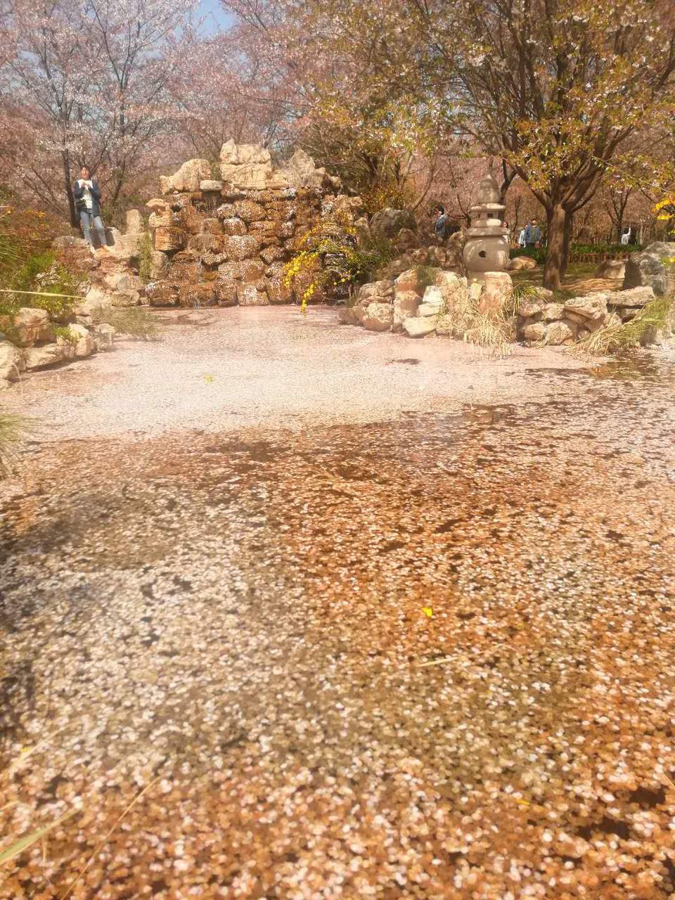 Q2rSUJvOTcCBxyXvUTyyUa9o3kbDyrg4IHphZIrL3WwEQ577_ryNy65bJEYxA20v