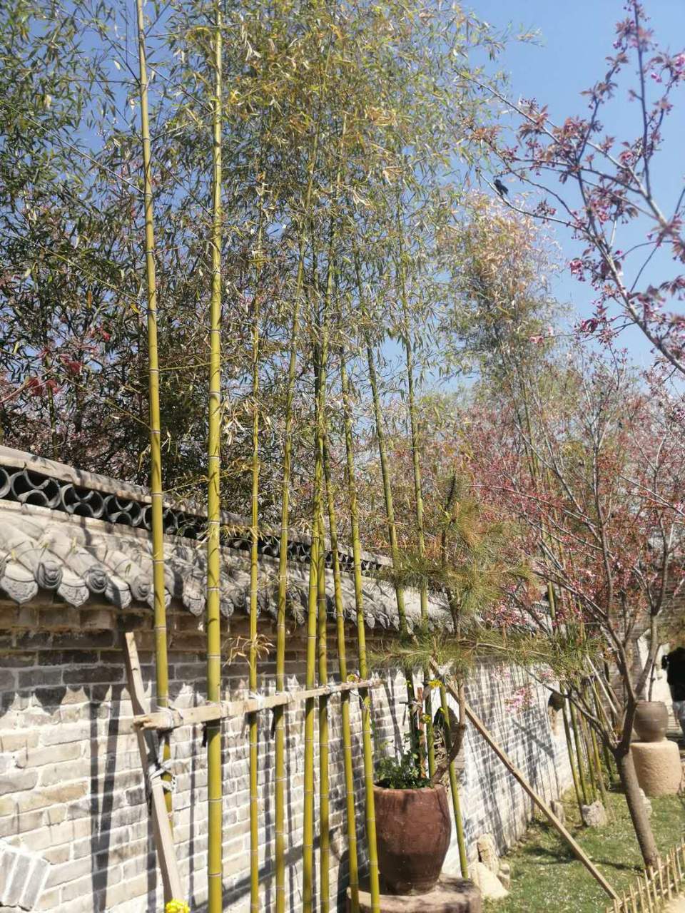 F-4V2icbCLO8I4mdp56UY6JKdWBTtAqKW3X9glmHOVYxNBBfqzwlw2iy9PfCjMOm