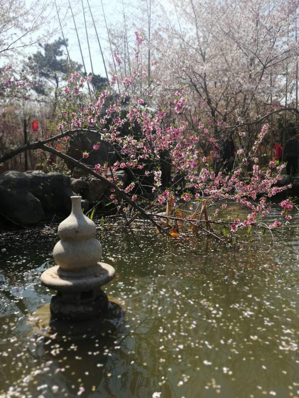 4p6Evxamdpx02ZeEn7VBsa3jNI2F7OC3kcUIXn4qnRxQeo-SDSMqny3wgL_Zyjcy