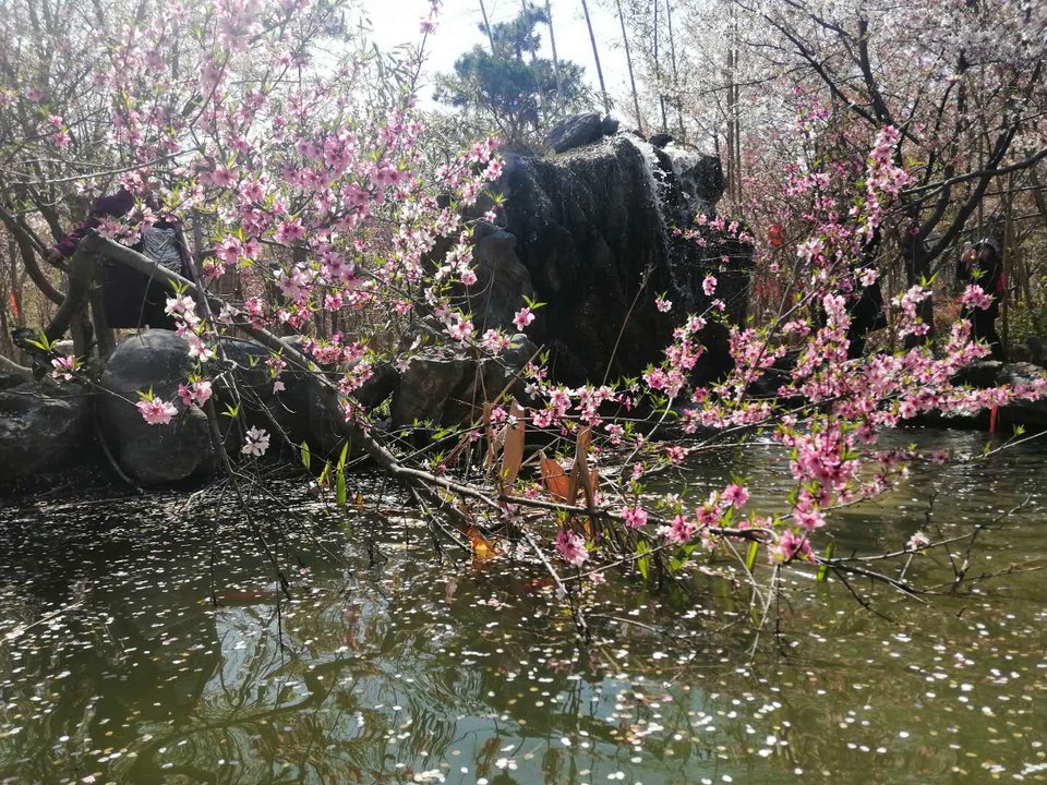 LNheKtBaW3jvJYr8Eo1FXagk0fcLAs46XV1dZRWqPIow9JisdbVF-x77Ukgw0XpI