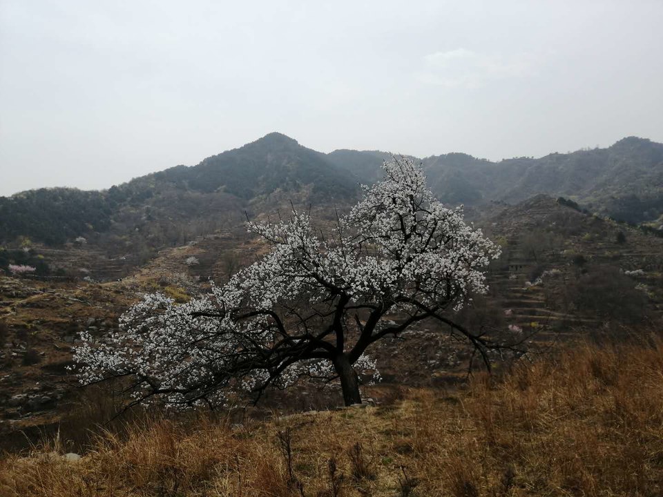 NrZTUYLdMIXgAFjrdNvyOorjsppGhiGl4FvOKXD_0dT8yPYcN23wgI7G4cc5UFdi