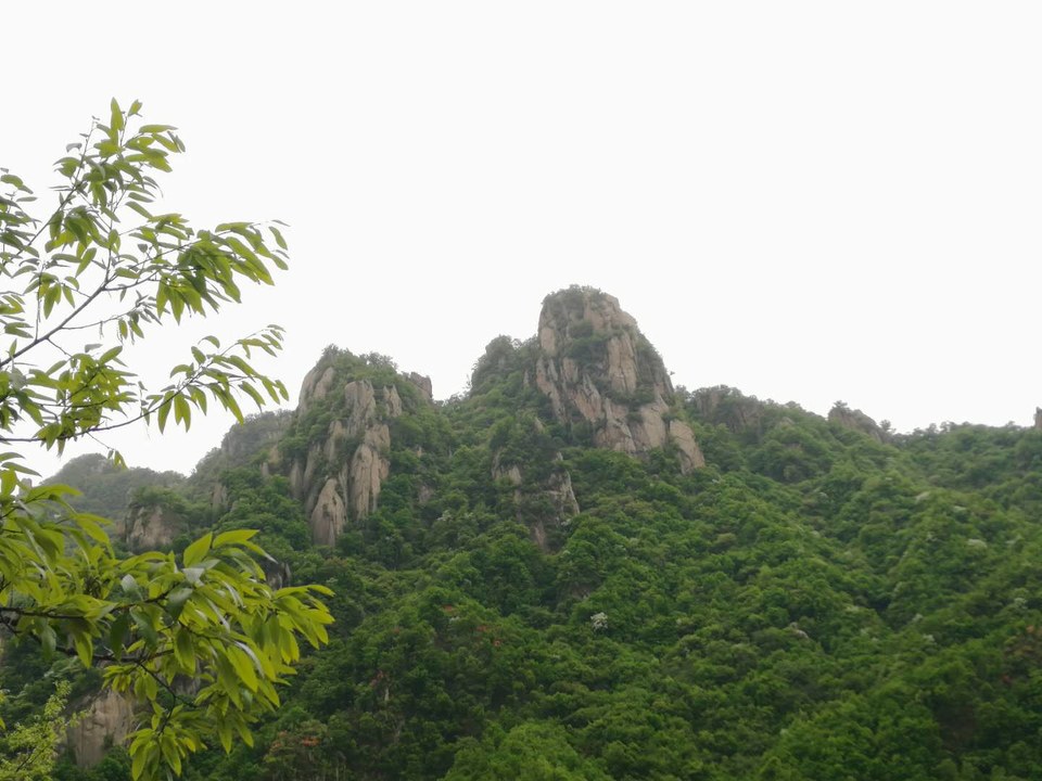 Ppp512JjcCRM18cUY5iNyXoHKFfe3ymKtDKH1ErTOXS0wIb7624-kih5lFhe9y9Y