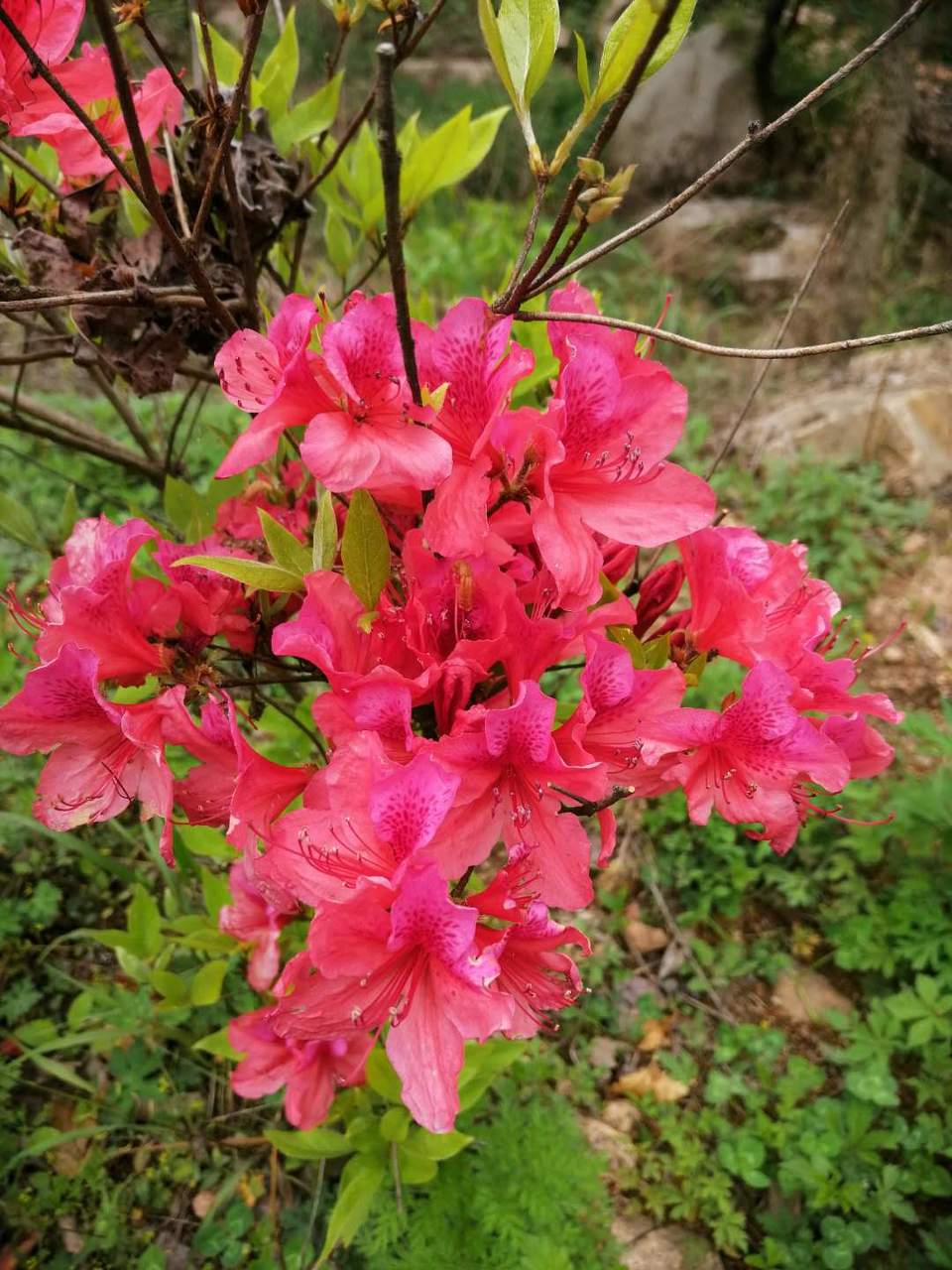 D5BSneeqinbqYdaA8pLkzSGKGH3S9FPftDuDJLw7euAkQ7XdnGHAuaUdvYA9M3BO