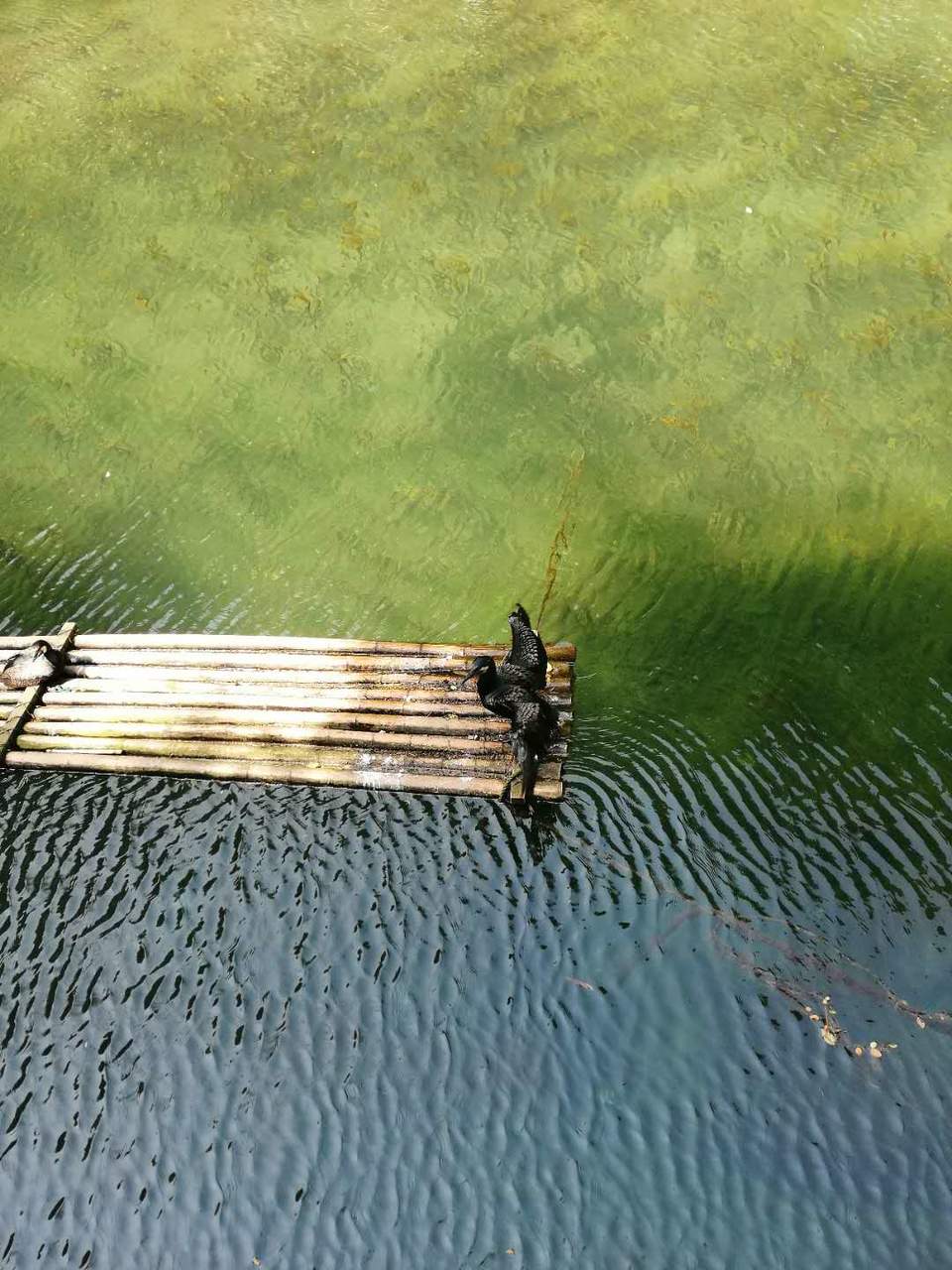 gqsO0oIzL8y7AWsGhLUIpwicG4UoKdLEl8OnD5xhDAaD9ji4J4Y6Zw2KBaC9j6xh