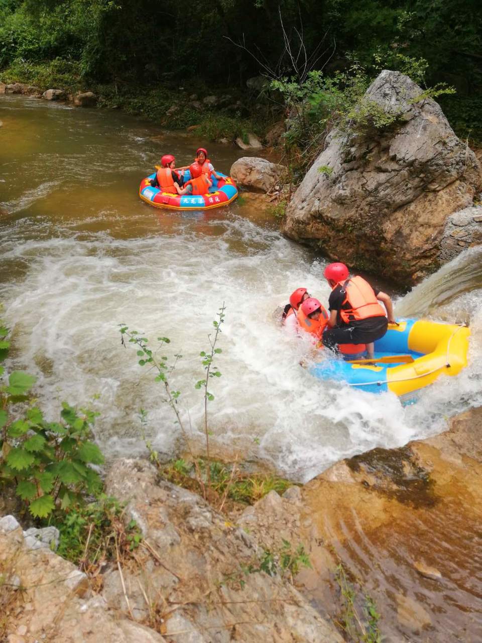 Ql4AYUjnY__BZ7CiBGy2aviydnn6X2zlKugMaRtB9NyPP9cDDEh4VP6ZLLmNKrhi