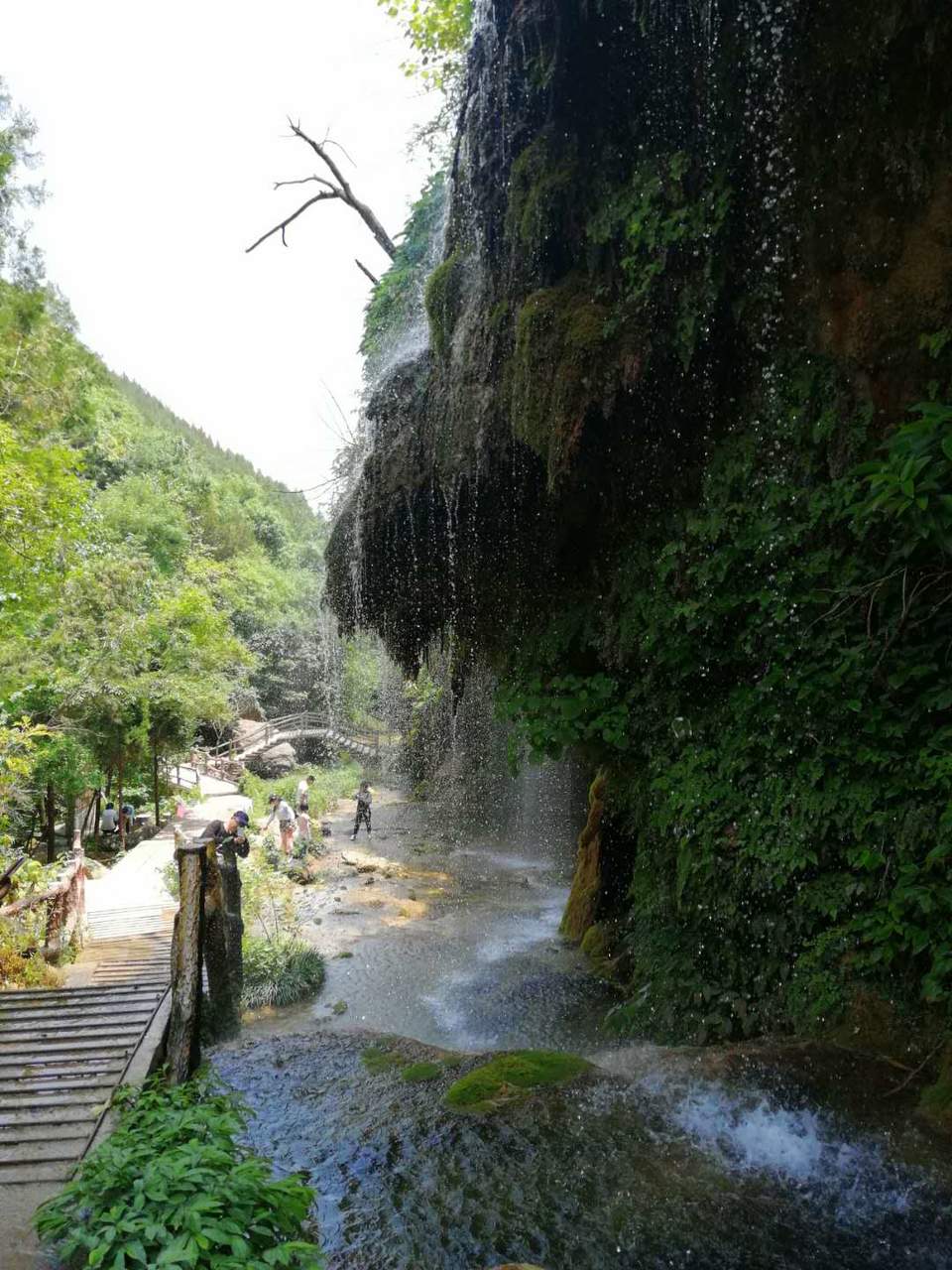 mK5G8ZqjHXLyyt7tdlXHAStm3a2nzlqRZLXLgS_lcY9aBiWZxPGlnbHVjX_QMPdl