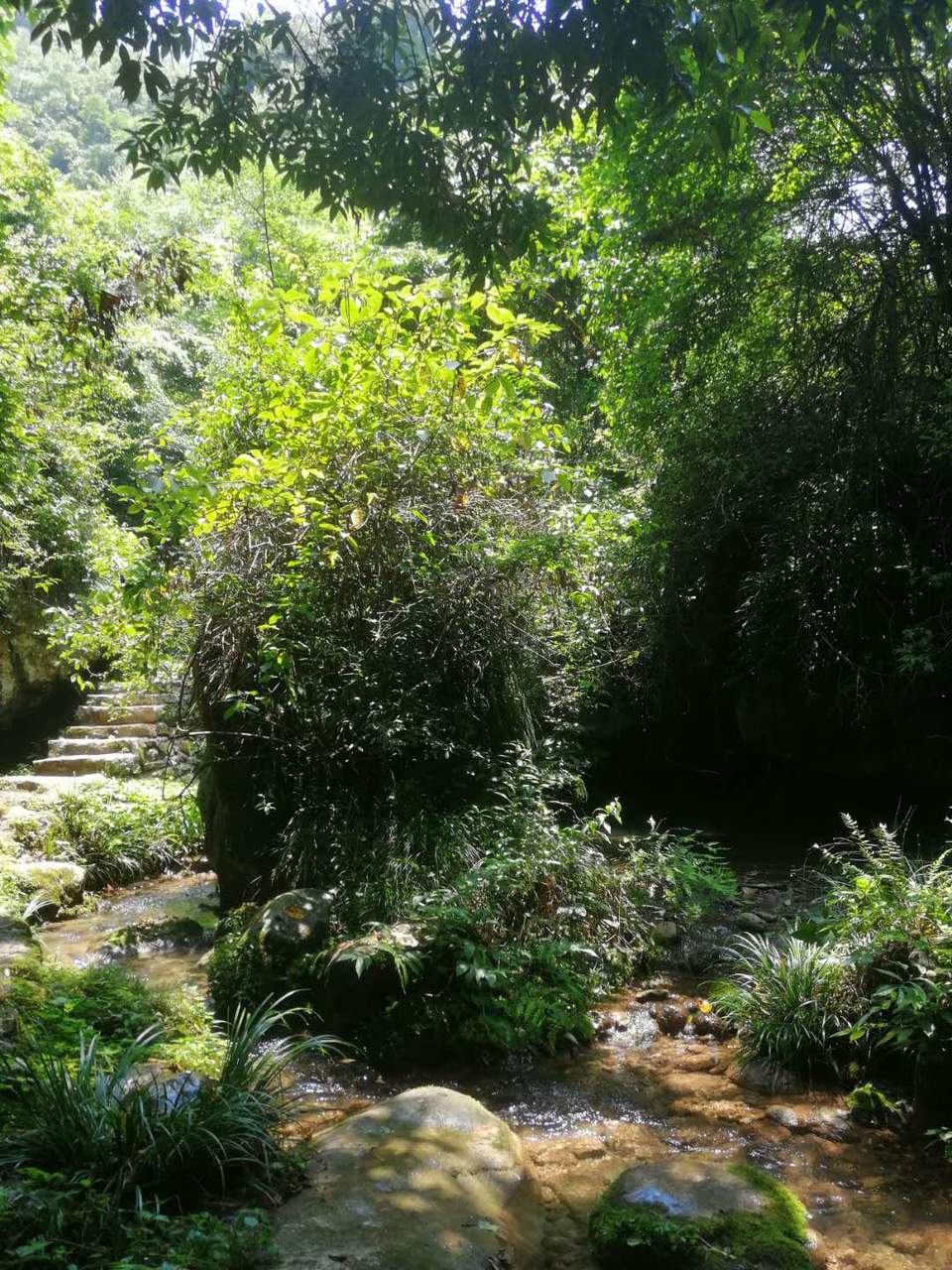 sWgoCYVfR0L8J5CR4iPpZmRv3sh_0As7YQGF_aSmhAIm0Vg4TKn7Q0Rnjs62ZVQS