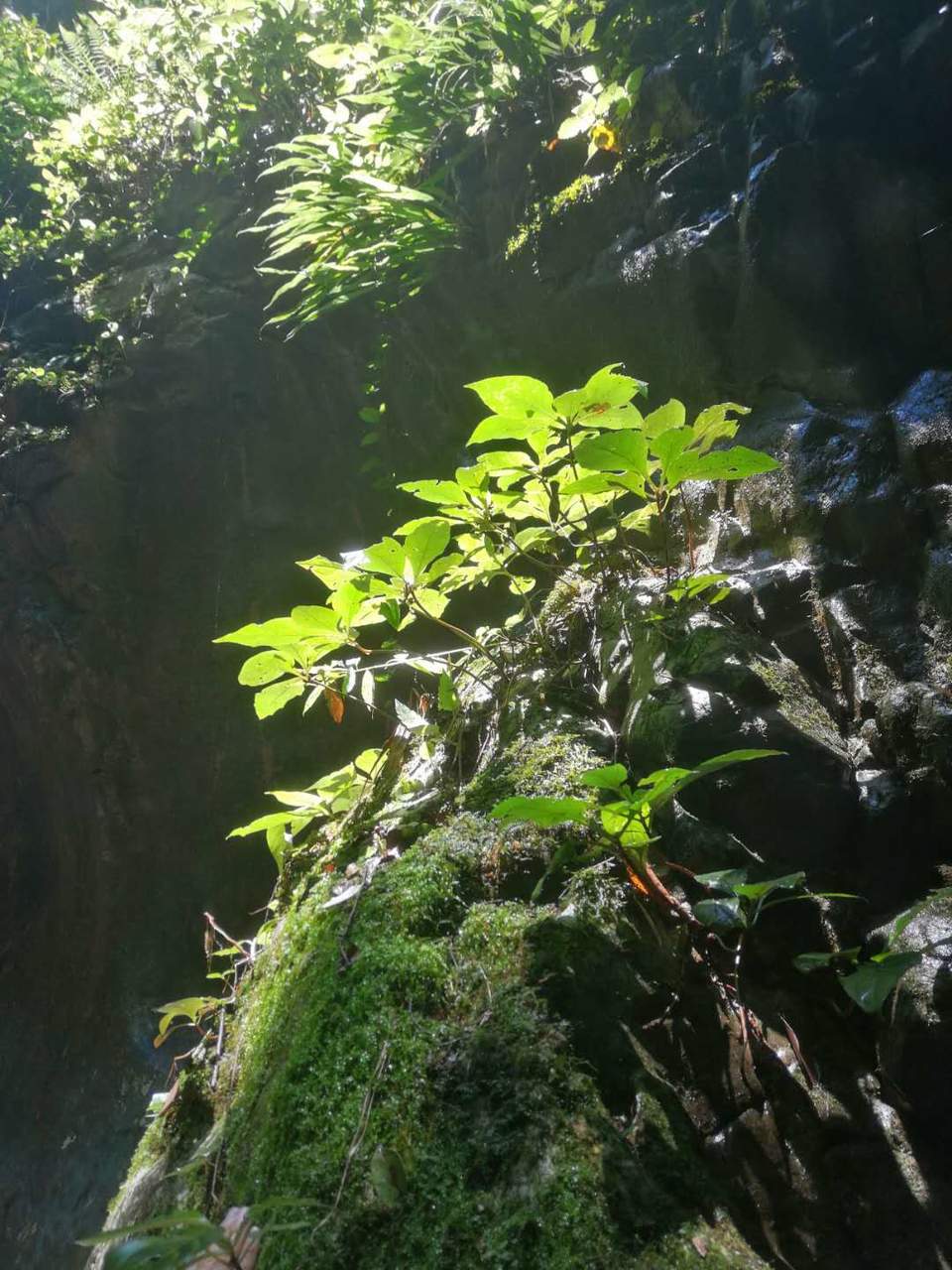 -AgdeNBrEVDBxAjFjkWiS5bYc77bviqX2eaDn5rI3yP7DmJSzwfKpDHMTHHXnhX0