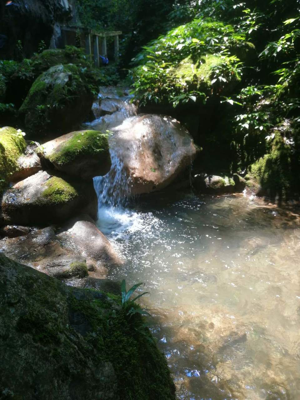 MdfM8kR-eabKe3DOdpMTkGK7X8ss0tExdXWe5_PHAmCJWQ2jXGtmb53u89R7LIEJ