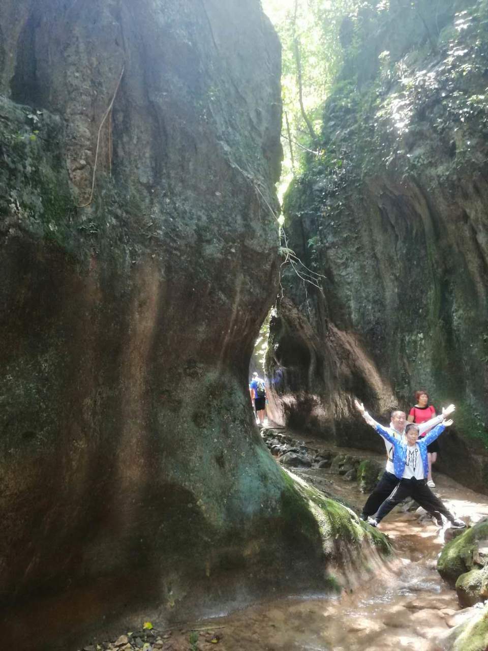 o6PngA7Q3gyJONxKa3VvgRryicYJVCvcKkvsOp2kZ2bTX057s89CSHl_OGHRuwxC