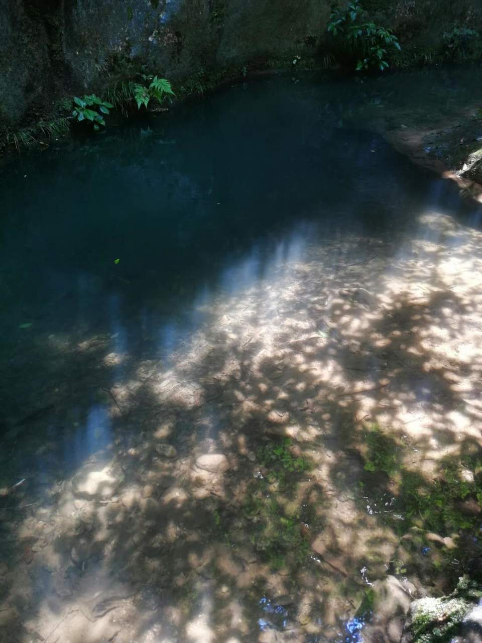 f604ieqzq6IGYy8uRLnJjbvloOMT_BodHJ27dZqRiXdyzXCDWyUjNMACmKerE3WT